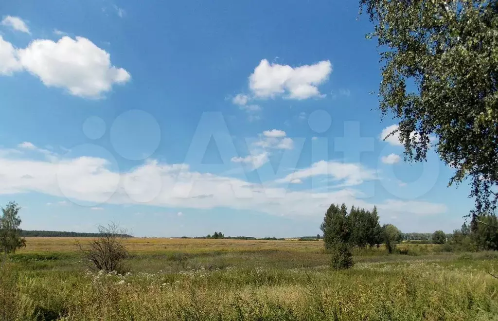 Участок 6 сот. (ИЖС) - Фото 0