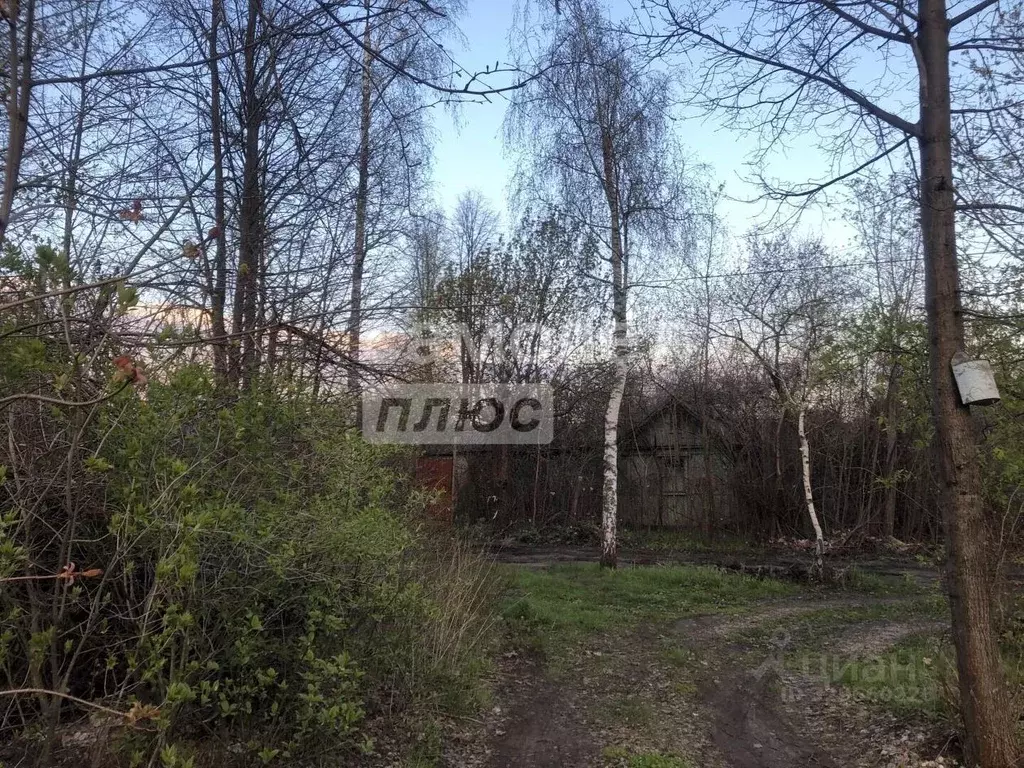 Участок в Воронежская область, Воронеж ул. Березовая Роща, 45 (8.1 ... - Фото 1