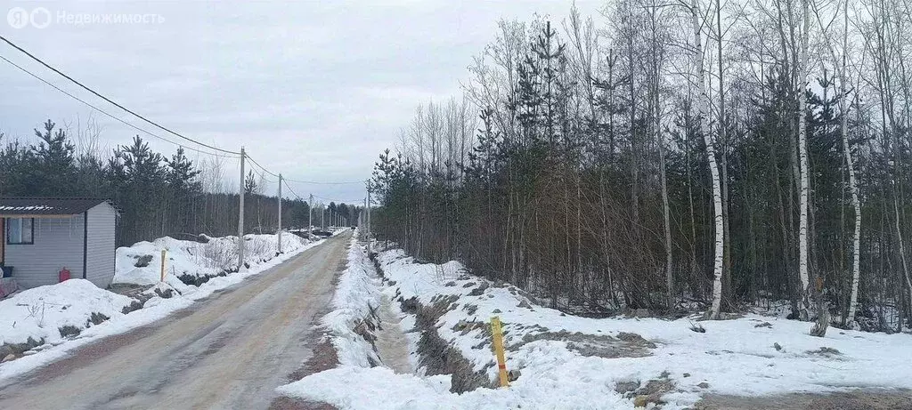 Участок в Ленинградская область, Гатчинский муниципальный округ, СНТ ... - Фото 2