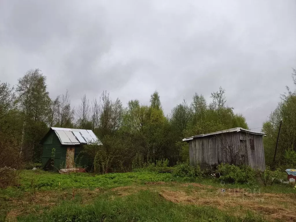 Участок в Костромская область, Костромской район, д. Чижово  (18.0 ... - Фото 1