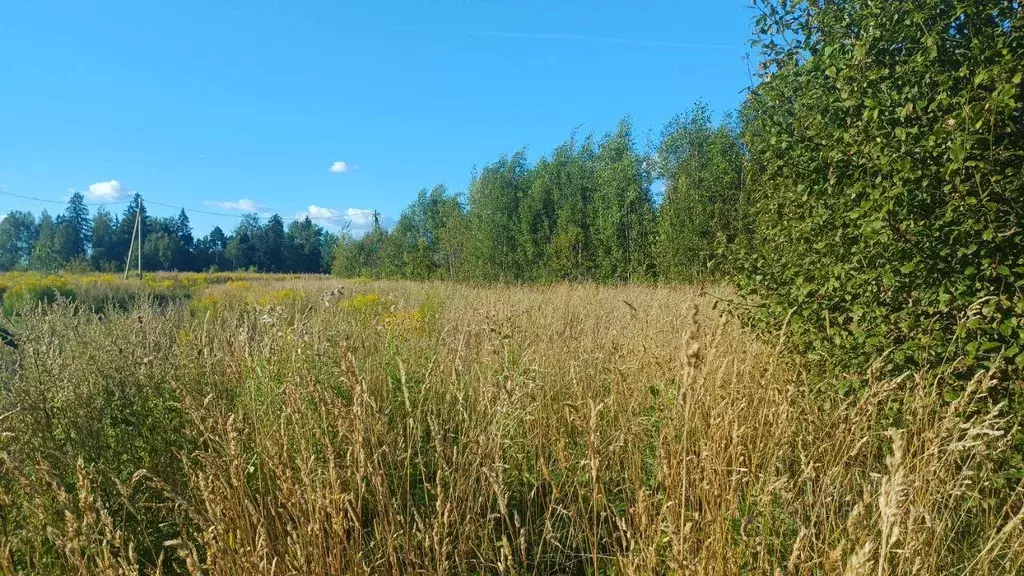 Участок, 15 сот., 0 - Фото 2