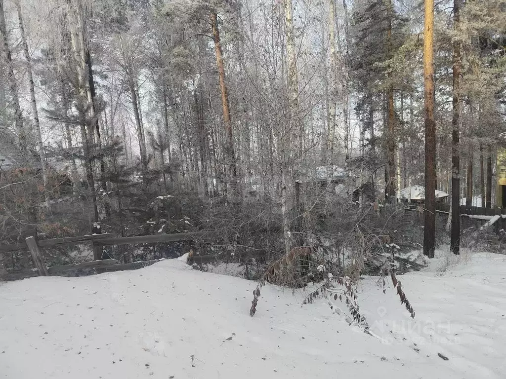Участок в Иркутская область, Иркутский муниципальный округ, с. Мамоны, ... - Фото 2