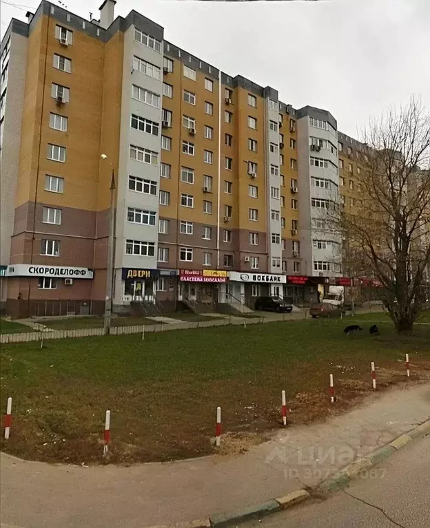 1-к кв. Нижегородская область, Нижний Новгород ул. Родионова, 195 ... - Фото 2