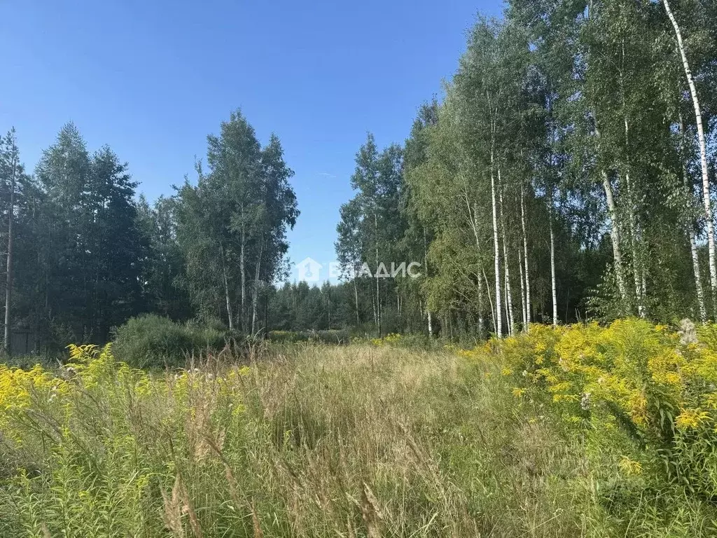 Участок в Владимирская область, Владимир ул. Журавлиха (10.0 сот.) - Фото 1