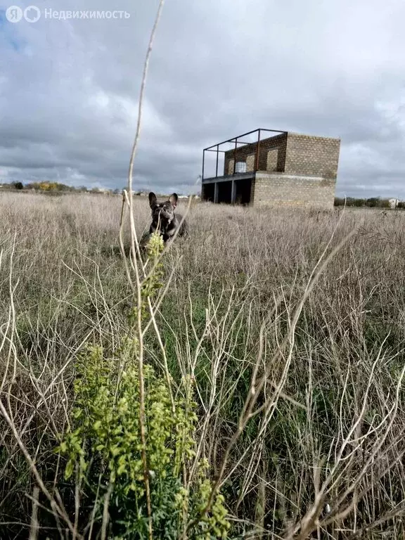 Дом в Громово, Средняя улица, 7 (261 м) - Фото 1