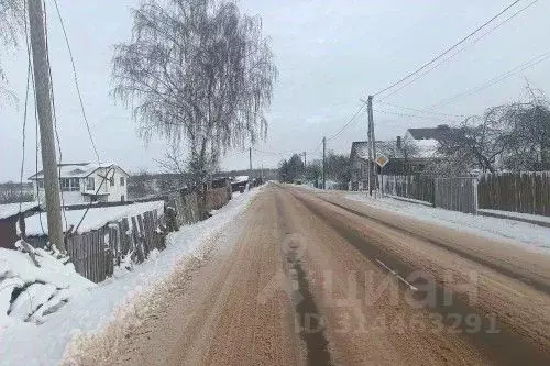 Участок в Новгородская область, Новгородский район, Савинское с/пос, ... - Фото 1