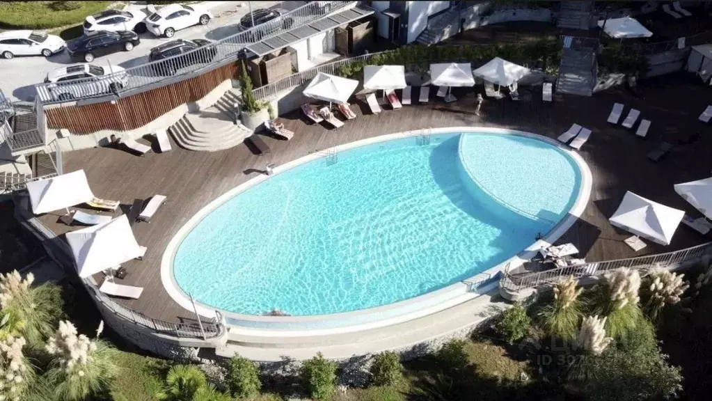 Студия Краснодарский край, Сочи Курортный просп., 105 (50.0 м) - Фото 1