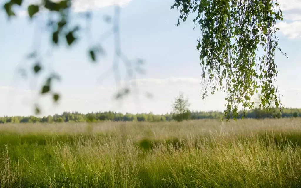 Участок в Московская область, Ступино городской округ, с. Починки  ... - Фото 0