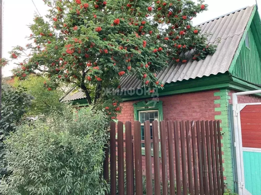 Дом в Новосибирская область, Искитим Связист садовое товарищество, ул. ... - Фото 0