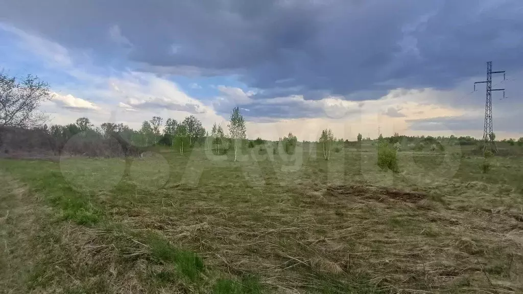 Участок 25 сот. (СНТ, ДНП) - Фото 1