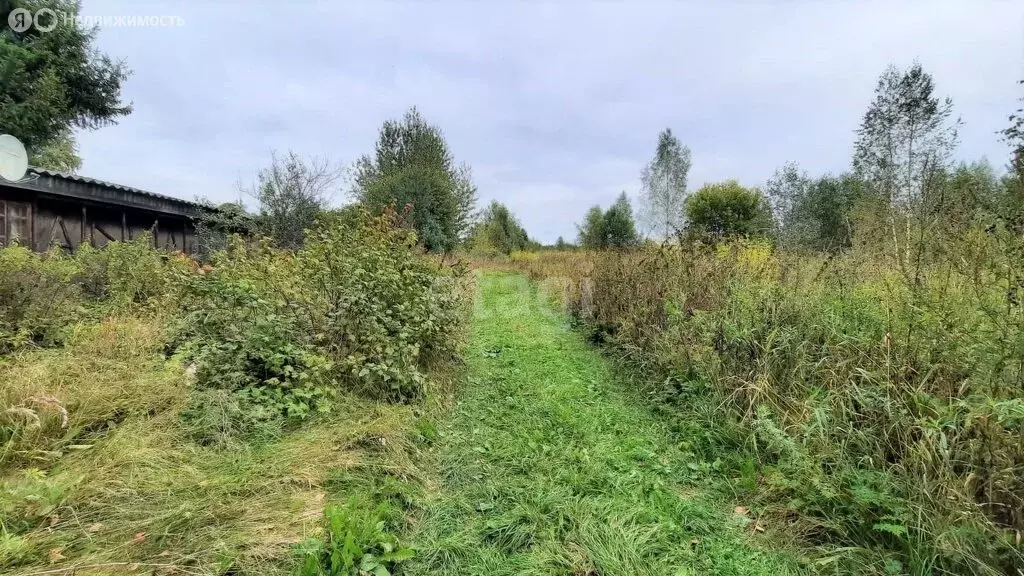 Участок в Новгородский район, Трубичинское сельское поселение, деревня ... - Фото 0