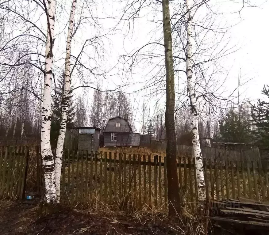 Участок в Вологодская область, Череповецкий район, Тоншаловское с/пос, ... - Фото 1