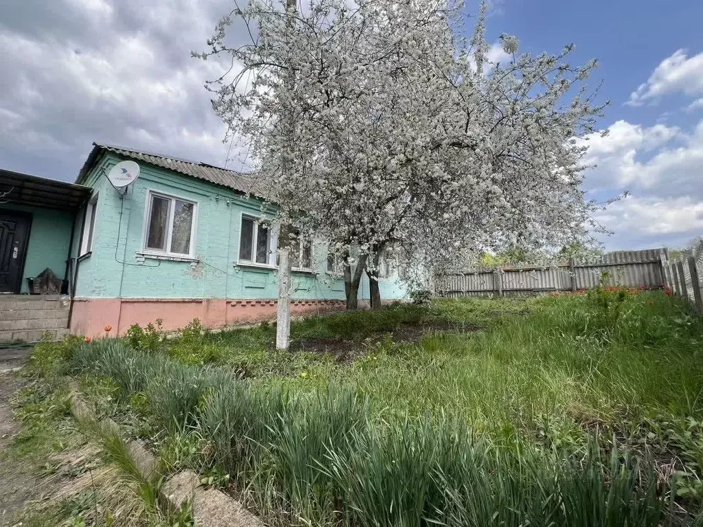 Дом в Белгородская область, Ивнянский район, с. Верхопенье Центральная ... - Фото 1