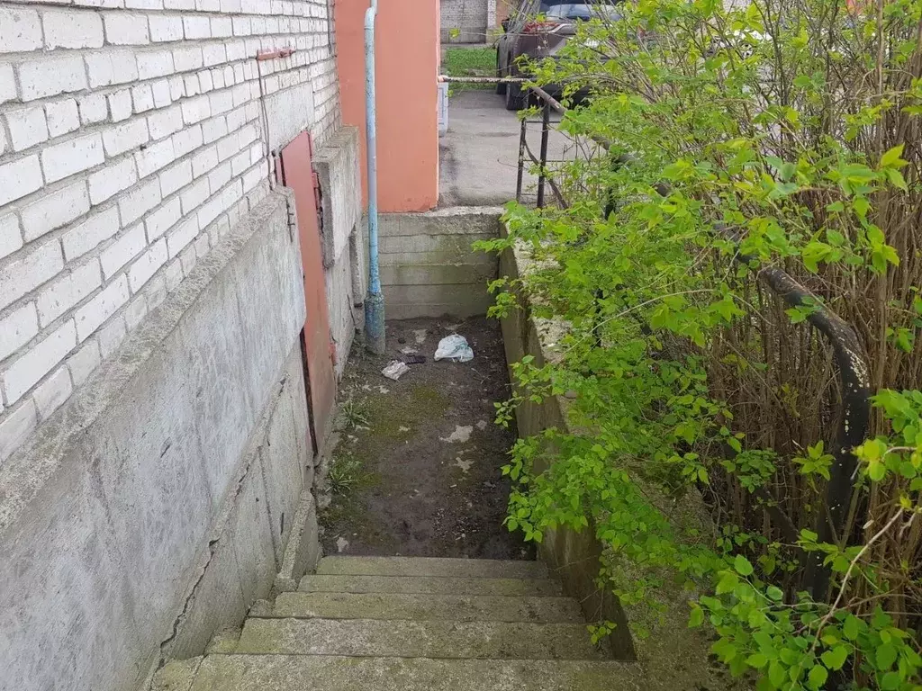 Помещение свободного назначения в Санкт-Петербург Новочеркасский ... - Фото 1