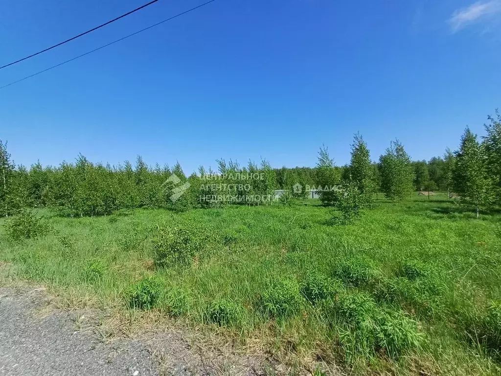 Участок в Рязанская область, Рязанский муниципальный округ, с. ... - Фото 2