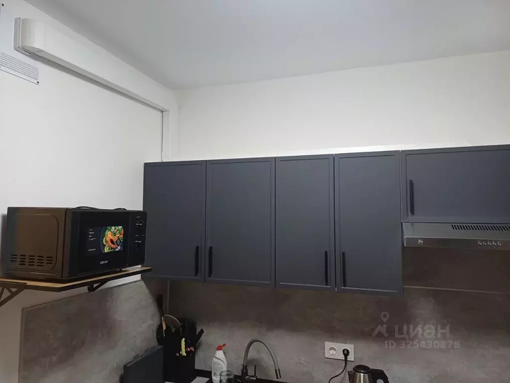 Студия Московская область, Домодедово городской округ, с. Ям ул. ... - Фото 2