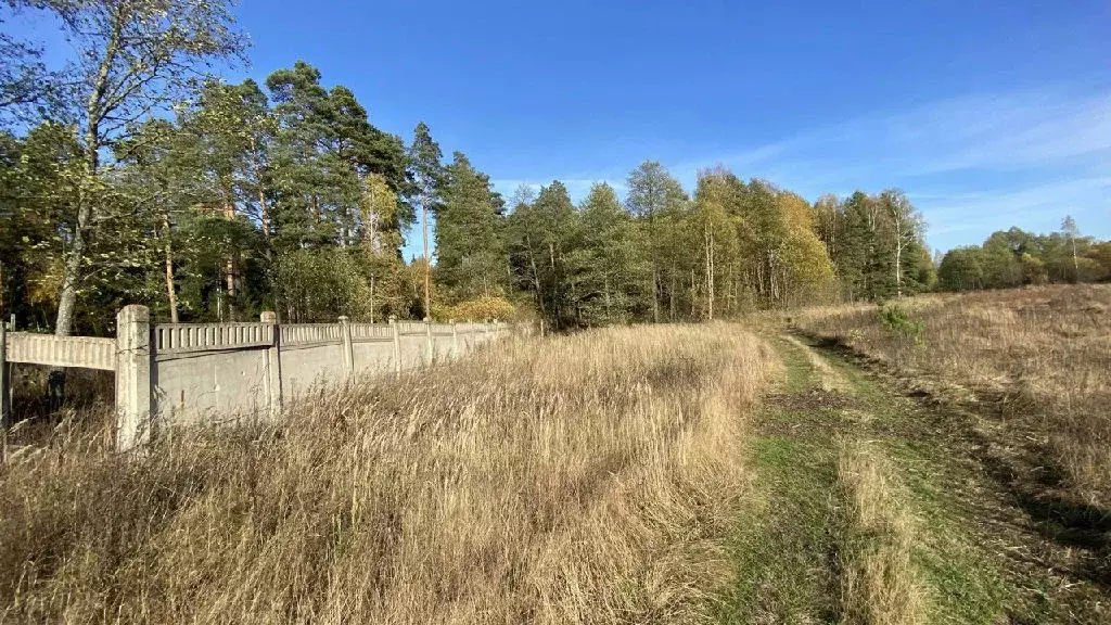 Продается участок в д. Антоново - Фото 2