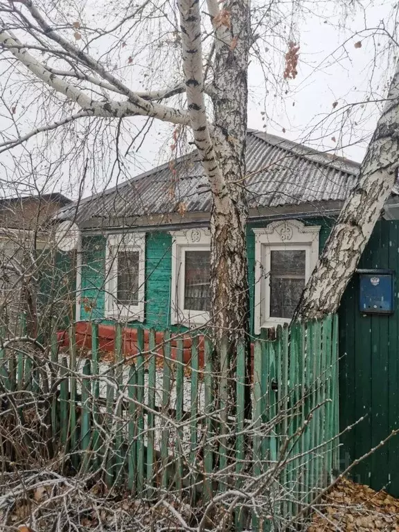 Дом в Омская область, Омск Порт-Артур мкр, ул. 2-я Марьяновская, 23 ... - Фото 2