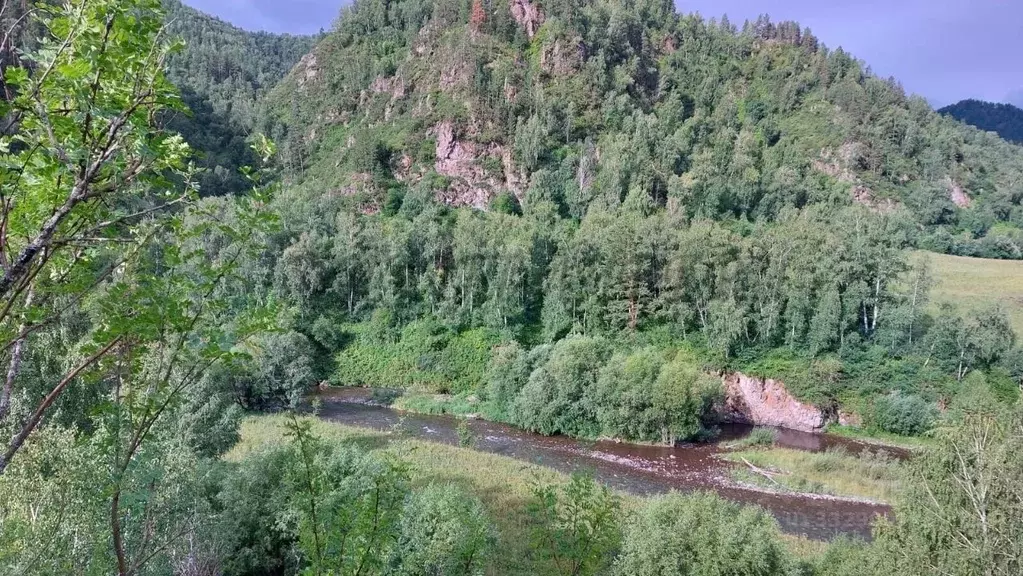 Участок в Алтай, Чемальский район, с. Уожан Заречная ул. (6.0 га.) - Фото 1