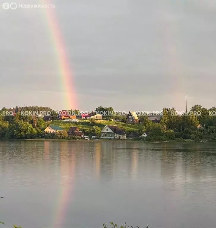 Участок в Новгородская область, Демянский муниципальный округ, ... - Фото 1
