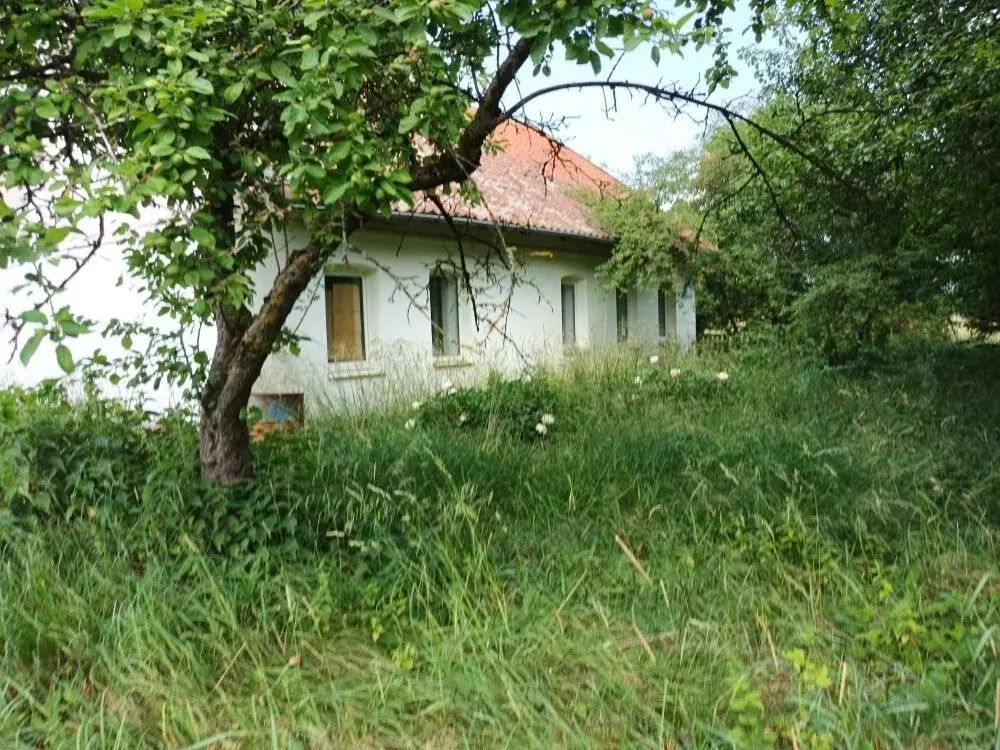 Дом в Калининградская область, Полесский муниципальный округ, пос. ... - Фото 0