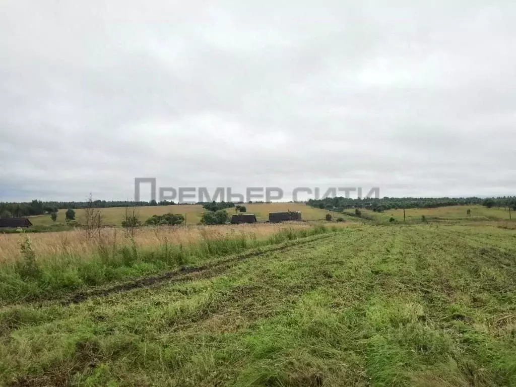 Участок в Калужская область, Бабынинский район, Сабуровщино с/пос, д. ... - Фото 2