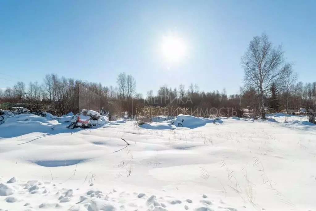 Участок в Тюменская область, Нижнетавдинский муниципальный округ, ... - Фото 2