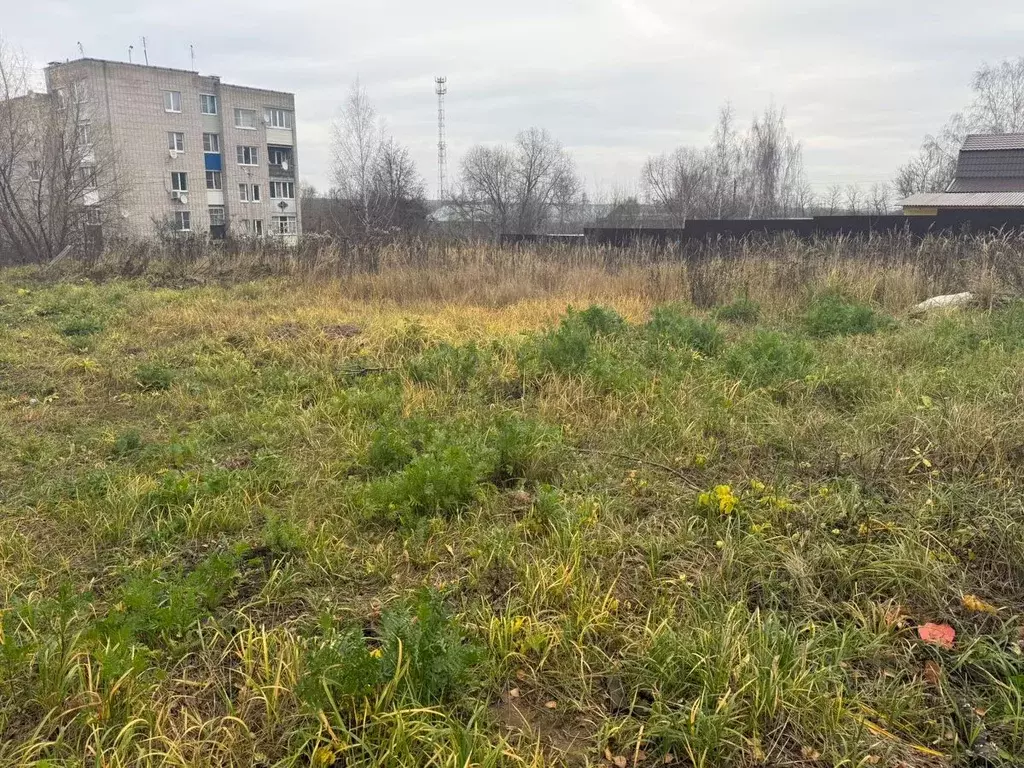 Участок в Московская область, Кашира городской округ, пос. Большое ... - Фото 2