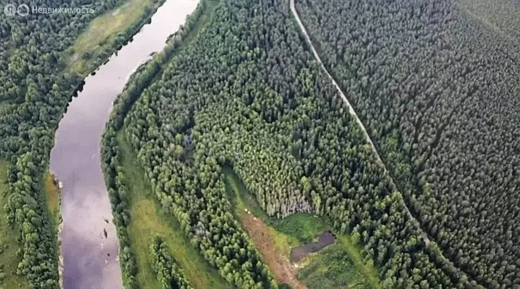 Участок в Архангельская область, Устьянский муниципальный округ, СОТ ... - Фото 2