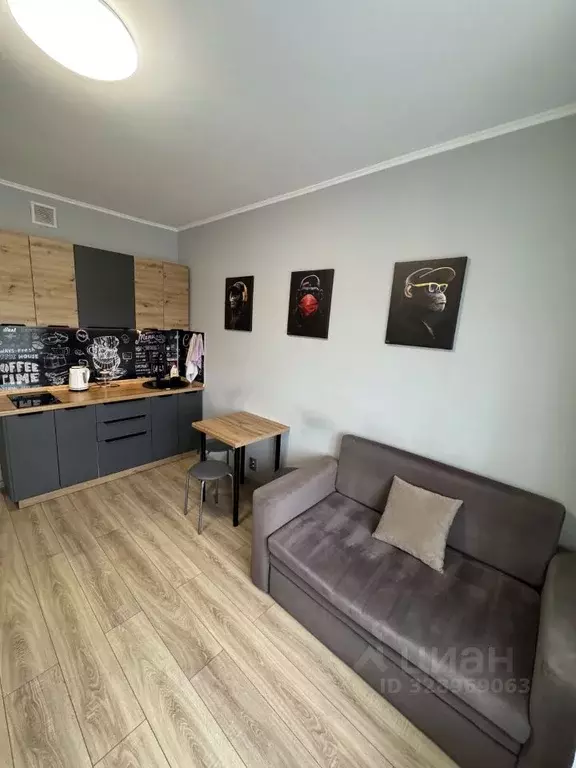 Студия Московская область, Люберцы городской округ, Томилино пгт, ... - Фото 2