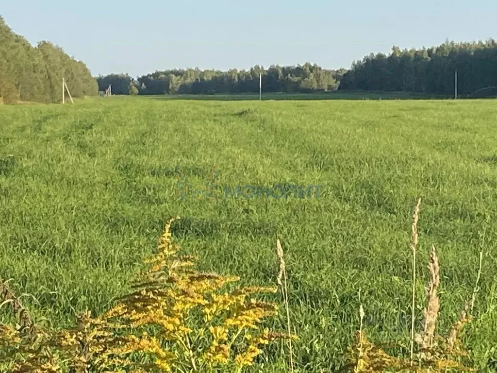 Участок в Нижегородская область, Богородский муниципальный округ, с. ... - Фото 1