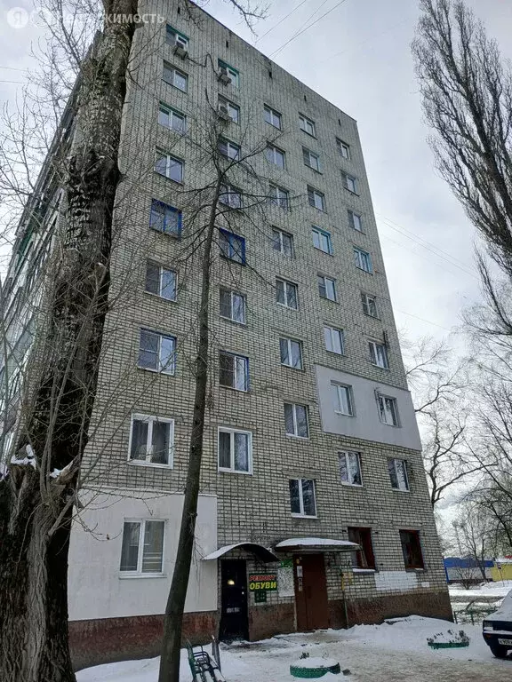 1-комнатная квартира: Курск, улица Серёгина, 11 (29.9 м) - Фото 2