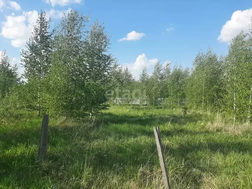 Участок в Марий Эл, Йошкар-Ола городской округ, д. Апшакбеляк  (15.0 ... - Фото 1