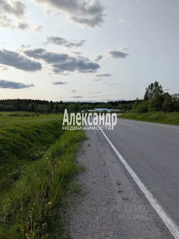Участок в Карелия, Лахденпохский муниципальный округ, пос. Ханканмяки  ... - Фото 1