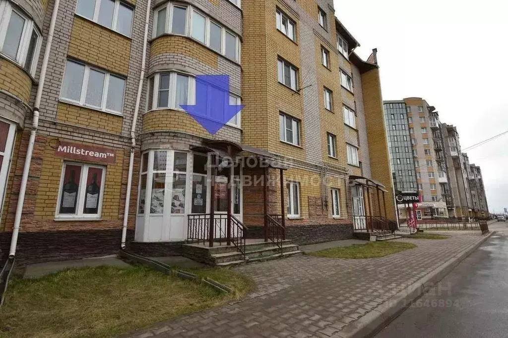 Торговая площадь в Новгородская область, Великий Новгород Речная ул., ... - Фото 0