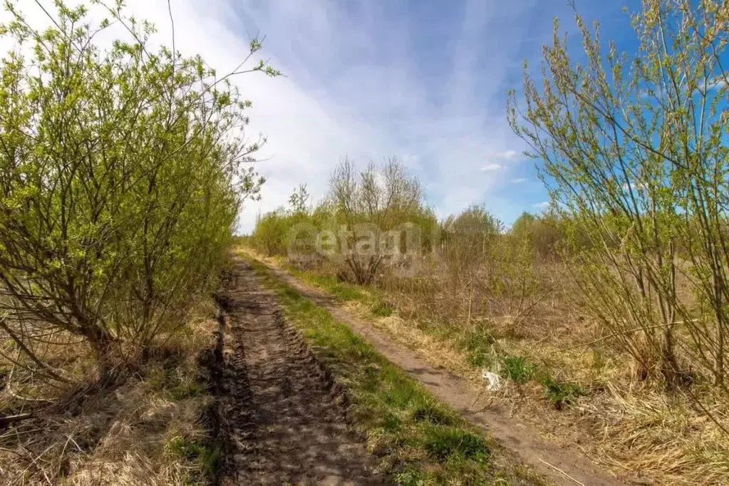 Участок в Тюменская область, Нижнетавдинский муниципальный округ, ... - Фото 2