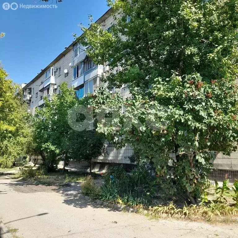 Помещение свободного назначения (222.6 м) - Фото 1