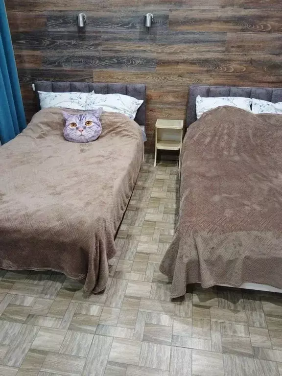 Комната Краснодарский край, Ейск ул. Калинина, 20 (25.0 м) - Фото 0
