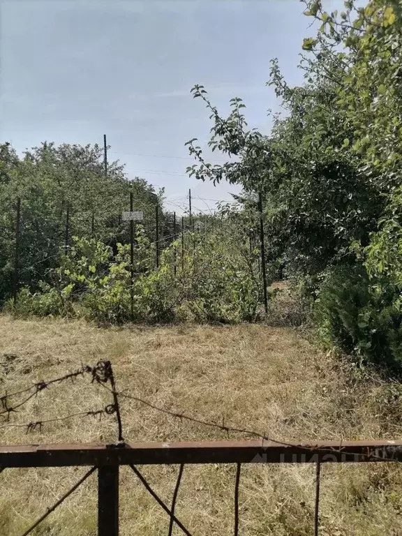 Участок в Саратовская область, Энгельс муниципальное образование, ... - Фото 1