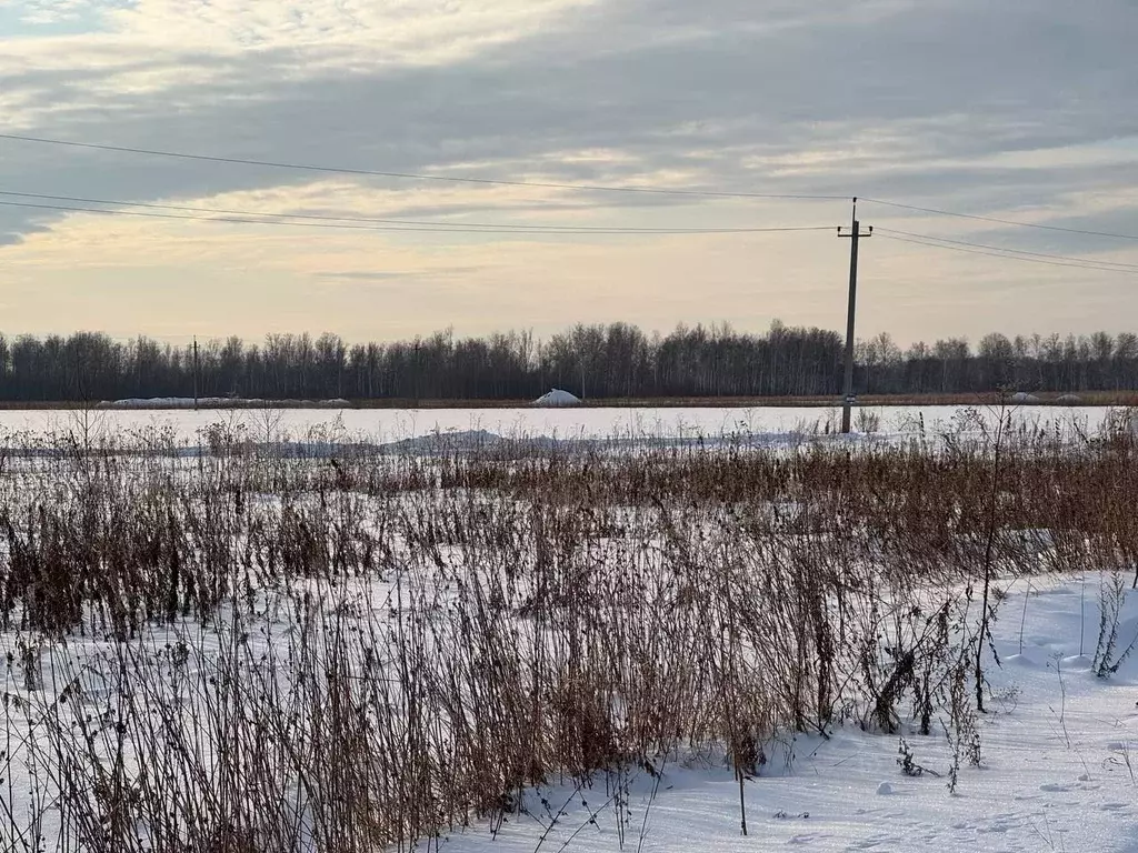 Участок в Тюменская область, Тюменский район, с. Горьковка  (5.0 сот.) - Фото 0