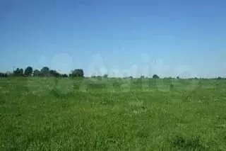 Участок 15 сот. (ИЖС) - Фото 0