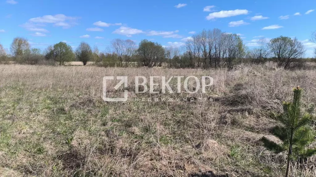 Участок в Костромская область, Кострома проезд Кружевной, 61 (8.9 ... - Фото 0