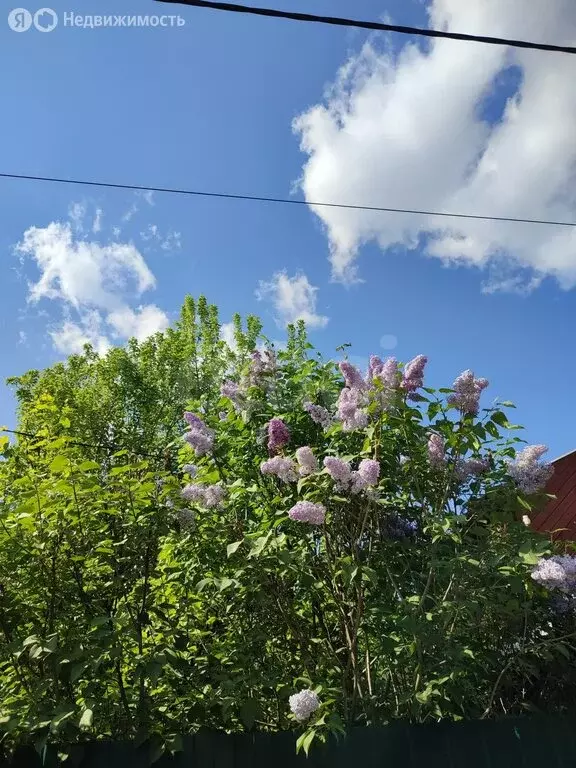Дом в Тюмень, СНТ Тополя, 25-я улица (57.3 м) - Фото 1