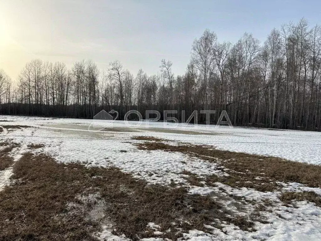 Участок в Тюменская область, Тюменский район, д. Малиновка ул. ... - Фото 1