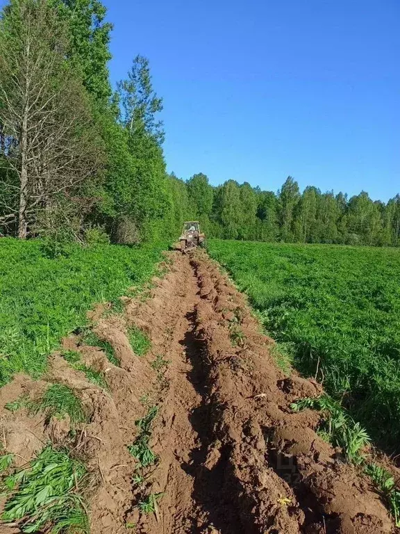 Участок в Смоленская область, д. Батищево  (5500.0 сот.) - Фото 2