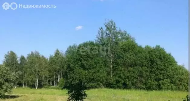 Участок в Липецк, Ново-Весовая улица (7 м) - Фото 1
