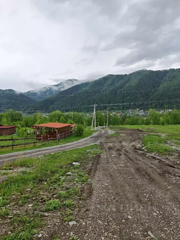 Участок в Алтай, Чемальский район, Рублевка ДПК  (10.0 сот.) - Фото 1