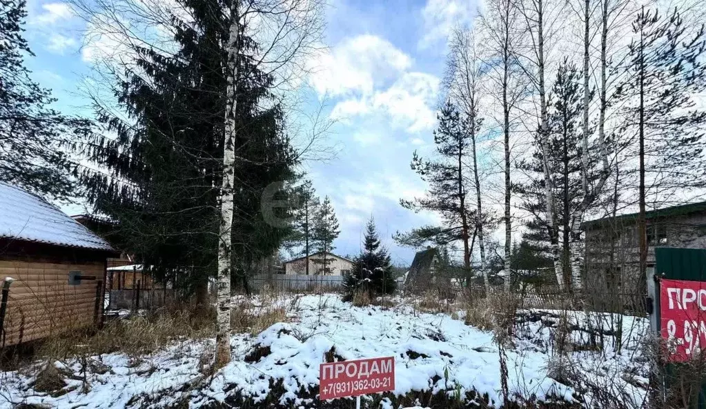 Участок в Ленинградская область, Всеволожский район, Рахьинское ... - Фото 1