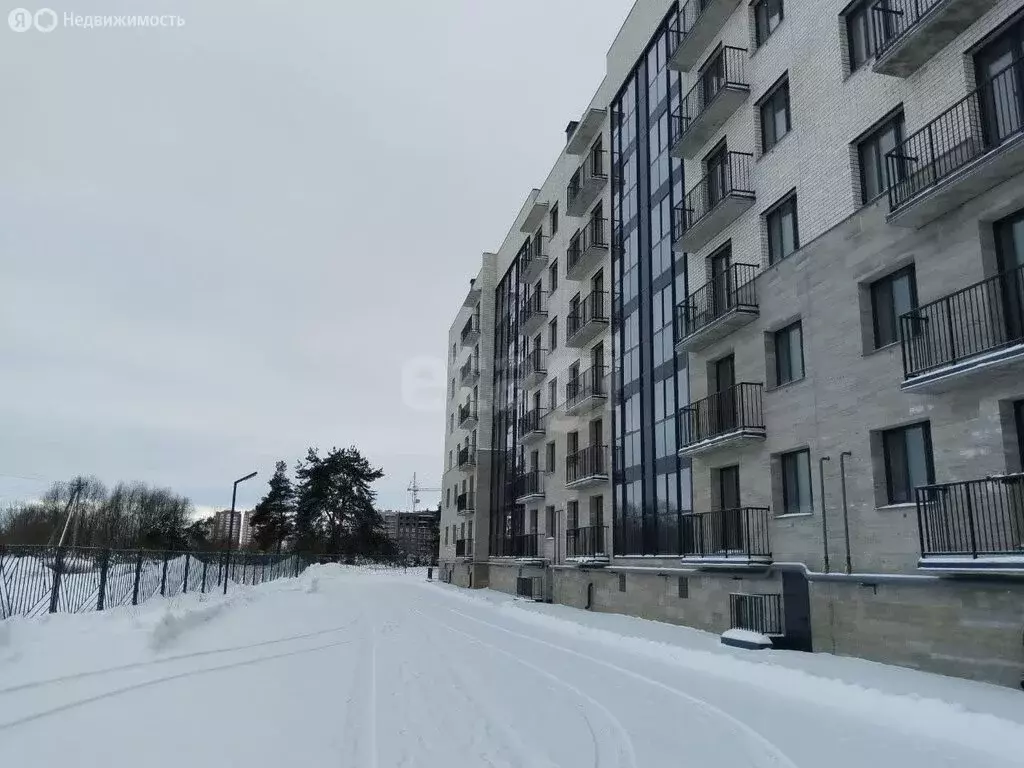 1-комнатная квартира: посёлок Красный Бор, Васильковая улица, 15 (43.1 ... - Фото 2