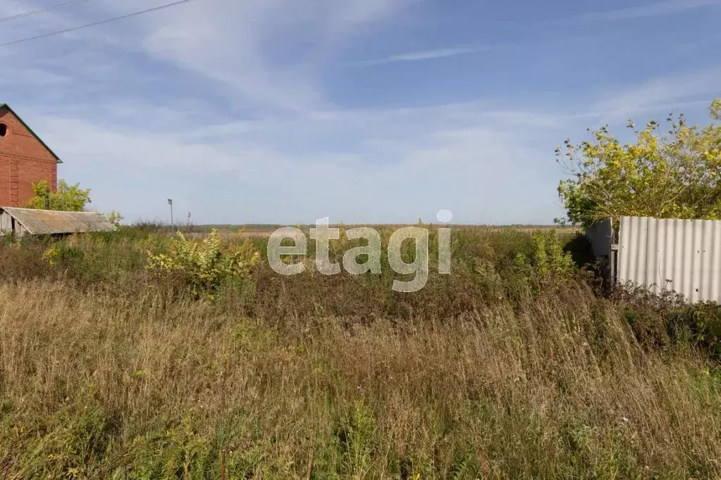 Участок в Тюменская область, Ишимский район, с. Гагарино ул. Мира ... - Фото 1